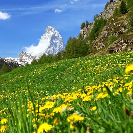 Viktoria Matterhorn By Interhome Апартаменти *